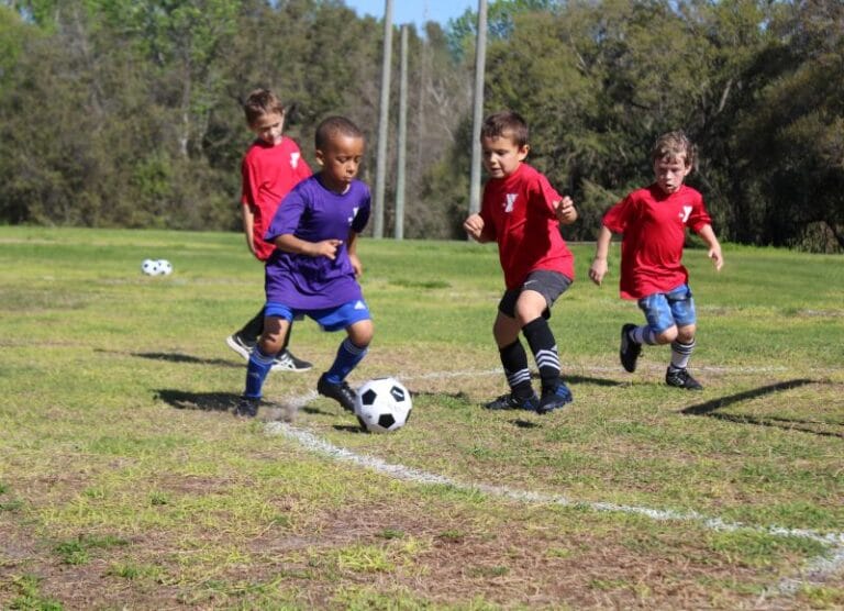 YMCA Membership Benefits this Fall at the Tampa Y is fall sports