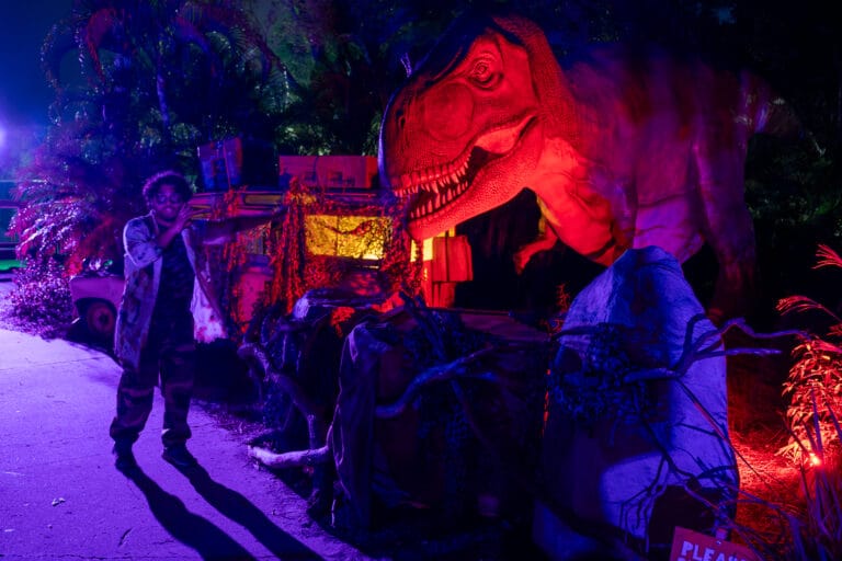 ZooTampa Creatures of the Night Mesozoic Mayhem trex