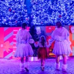 ZooTampa Christmas in the Wild 2025 holiday lights