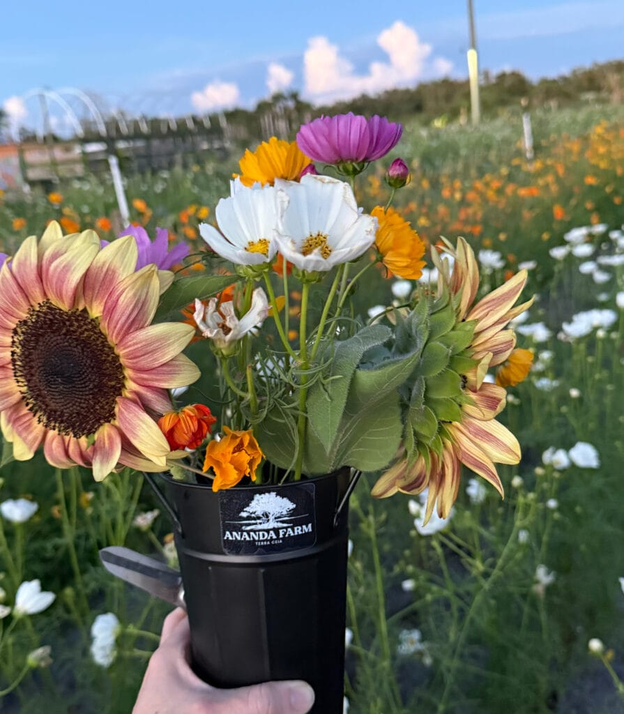 Ananda Farm fall festival flowers