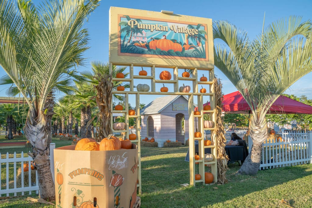 Ananda Farm Fall Festival Weekend Top Picks in Tampa Bay