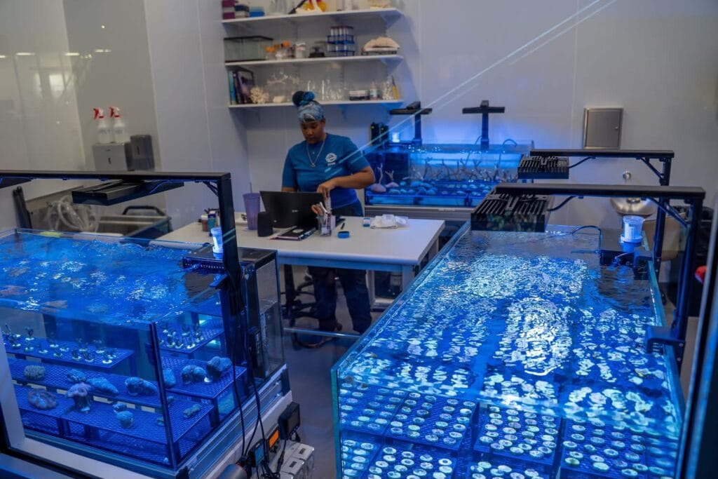 Coral Laboratory at Mote SEA