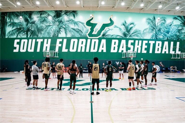 usf bulls