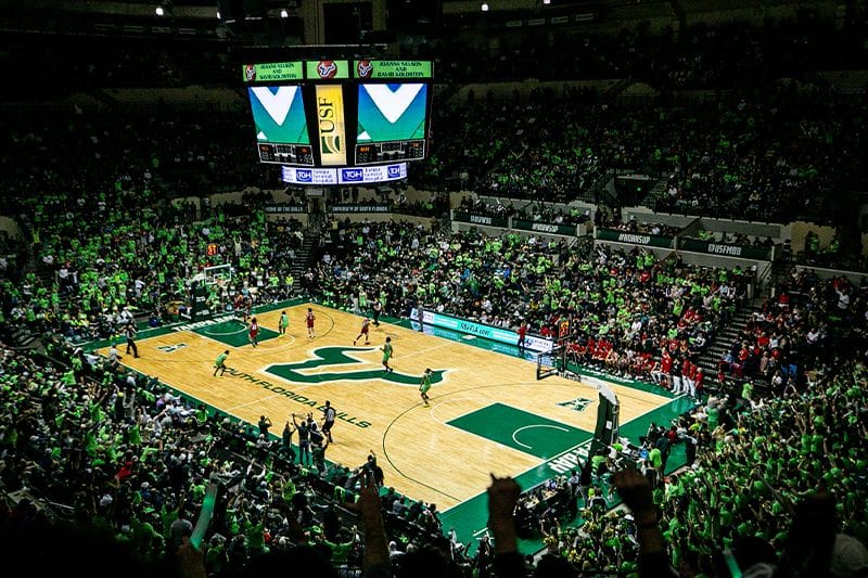 usf bulls