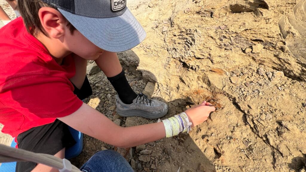 Child digging for dinosaur bones in South Dakota with PaleoAdventures