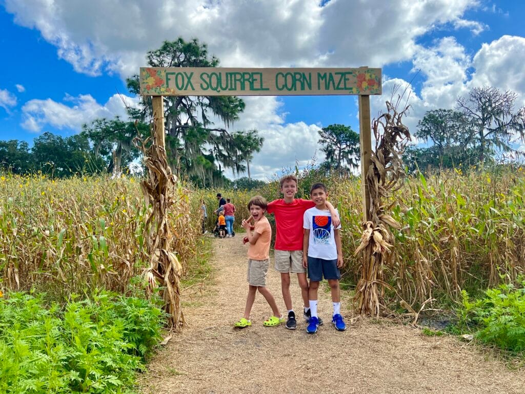 Fox Squirrel Corn Maze 2023 by Laura Byrne
