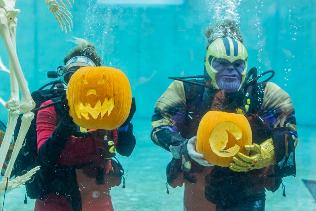 Halloween Spookquarrium at Clearwater Marine Aquarium