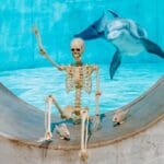 Halloween at Clearwater Marine Aquarium dolphin
