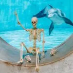 Halloween at Clearwater Marine Aquarium dolphin