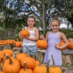 Fall Festivals in Tampa Bay
