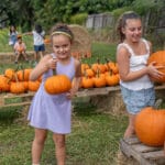Keel Farms Harvest Days pumpkin patch
