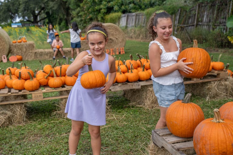 Keel Farms Harvest Days pumpkin patch