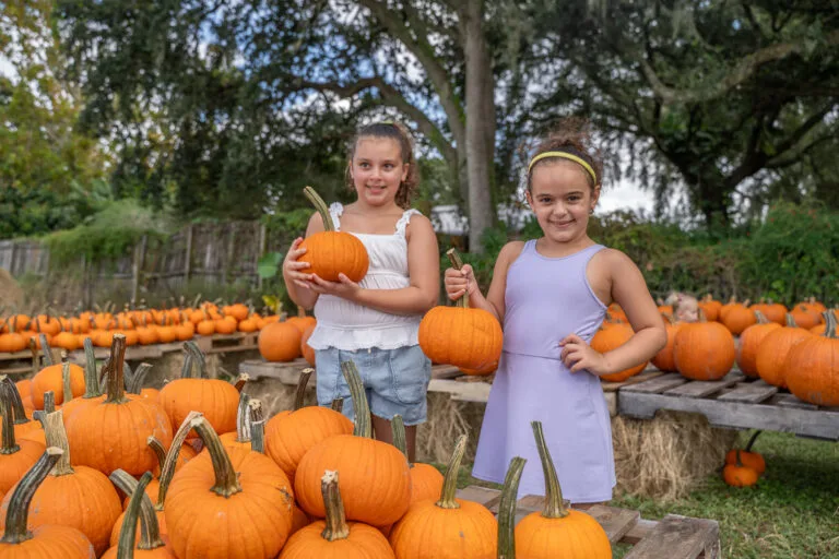 Fall Festivals in Tampa Bay