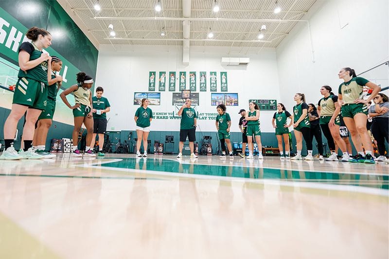 usf bulls