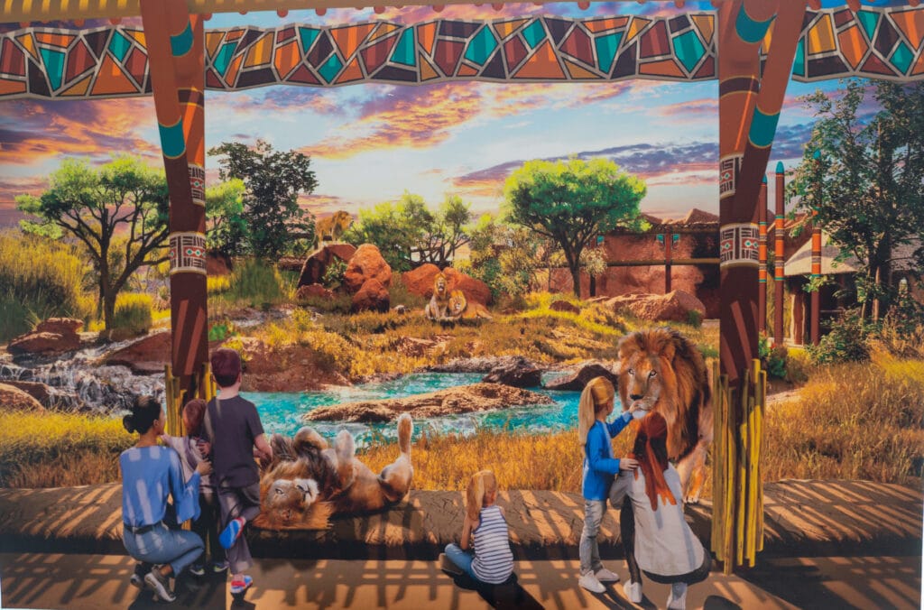 Rendering of Lion & Hyena Ridge at Busch Gardens Tampa Bay.