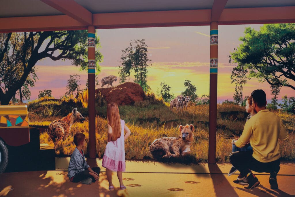 Lion and Hyena Ridge at Busch Gardens Tampa Bay rendering.