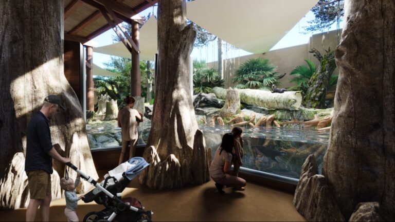 ZooTampa's Florida Waters Otter Oasis rendering
