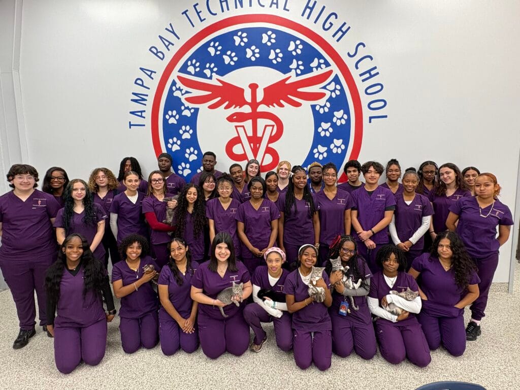 Tampa Bay Technical Highschool
