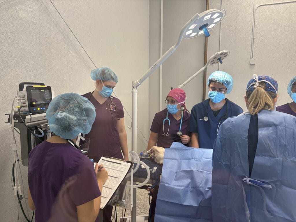 Tampa Bay Technical Highschool