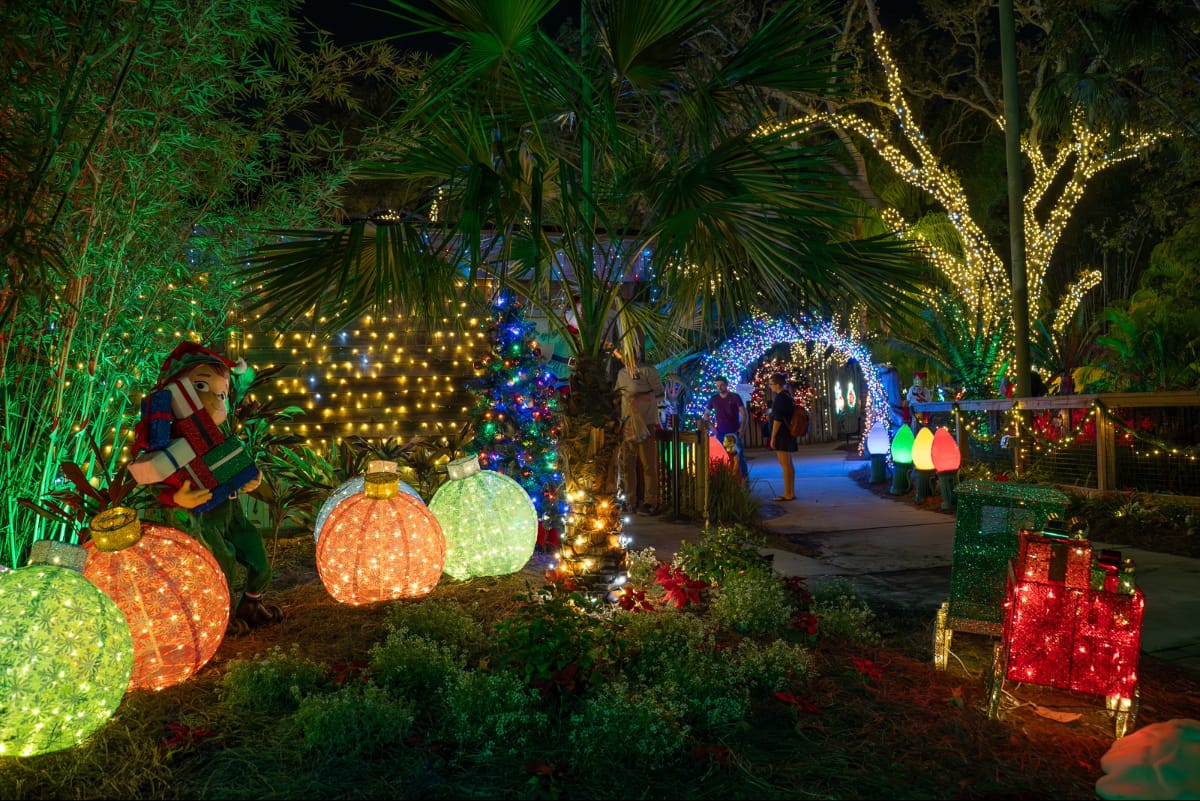 ZooTampa's Christmas in the Wild 2025 is brighter than ever with even MORE lights! Photo by Laura Byrne.