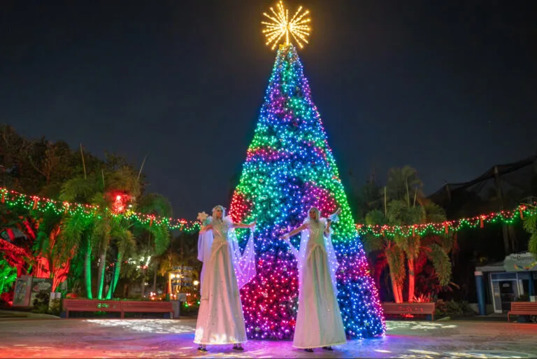 New Christmas tree at the entrance of ZooTampa's Christmas in the Wild 2025.