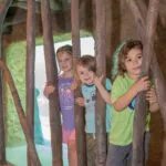 mangroves in Straz Family Manatee Rescue at Florida Waters at ZooTampa