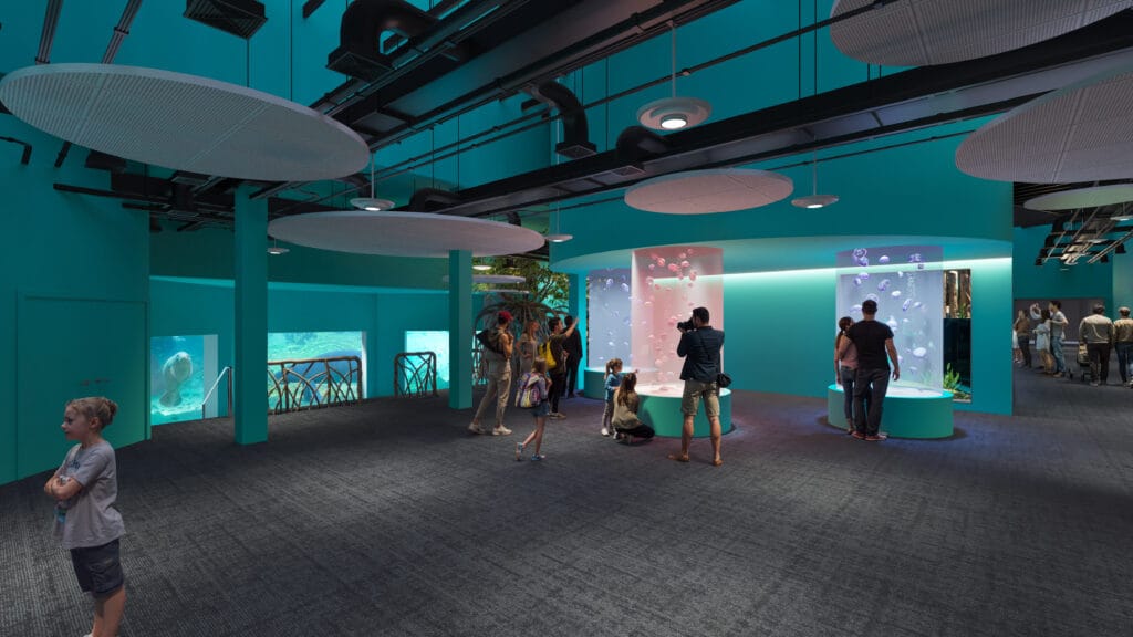 ZooTampa's Florida Waters Rendering: Manatee Stadium seating and Moon Jellies 