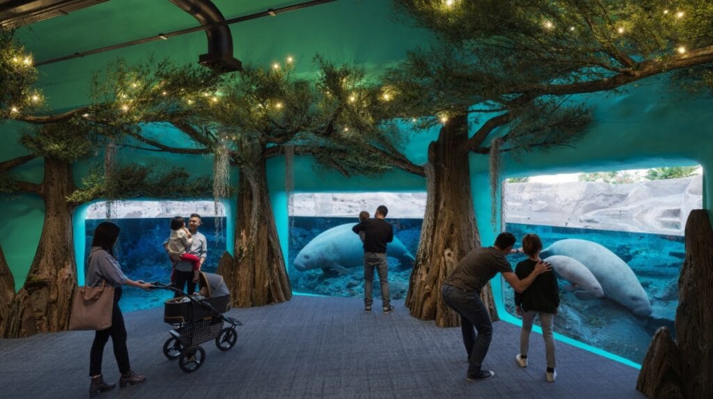 ZooTampa Florida Waters manatee viewing window rendering