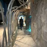 Florida Waters sneak peek. A look at the mangrove tunnel leading to the manatee viewing window.