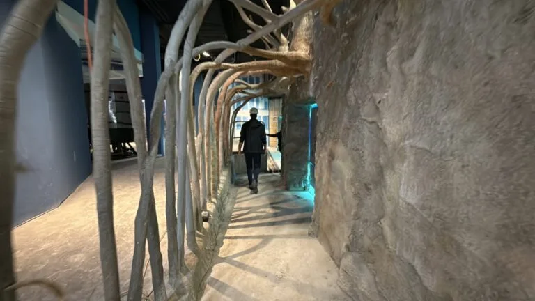 Florida Waters sneak peek. A look at the mangrove tunnel leading to the manatee viewing window.