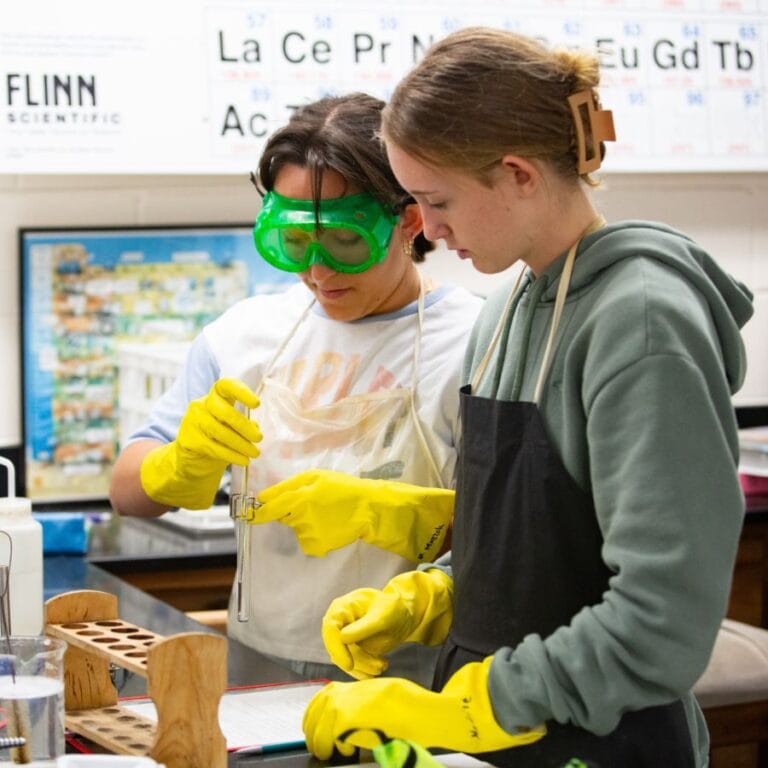 Unlock Your Child’s Potential: Pinellas County Schools