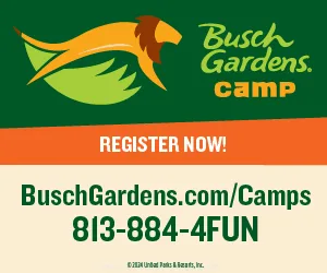 Busch Gardens digital ad