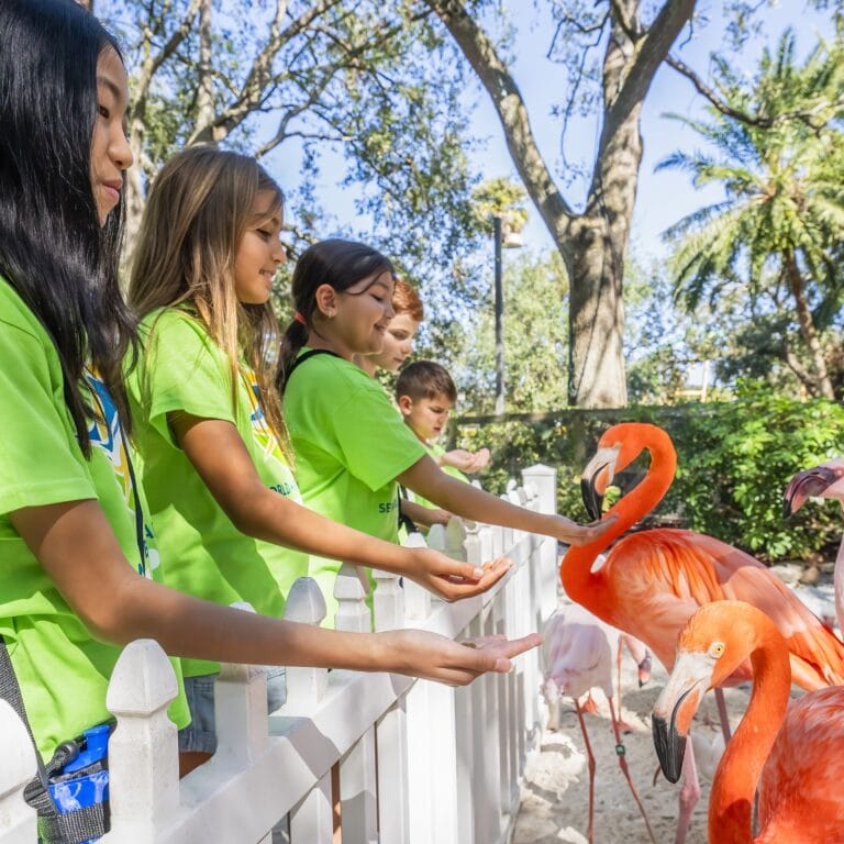 Busch Gardens Photo 768x768