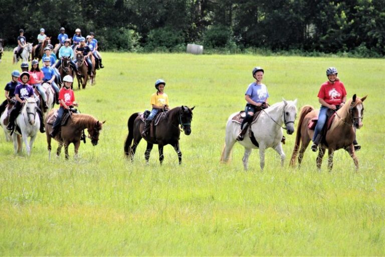 IMG 4027 resize 768x512