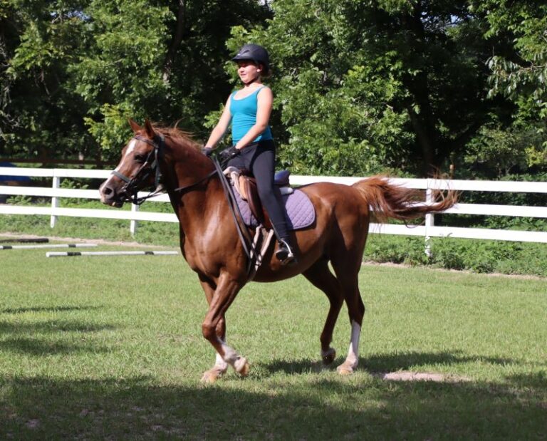 IMG 5349 resize 768x619