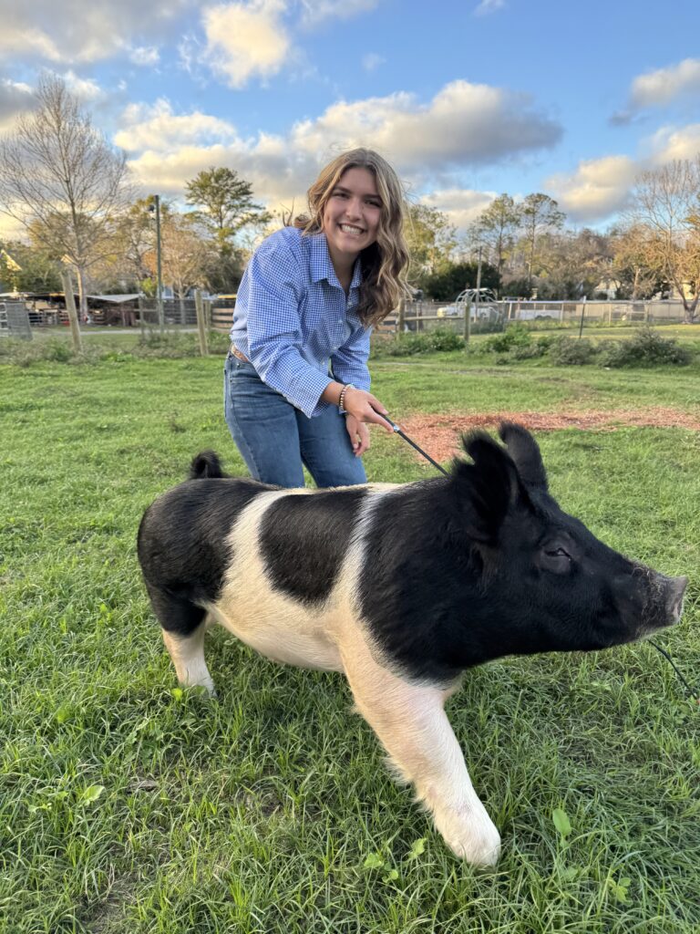 Shelby Langford with her swine at Gaither High School in Tampa.