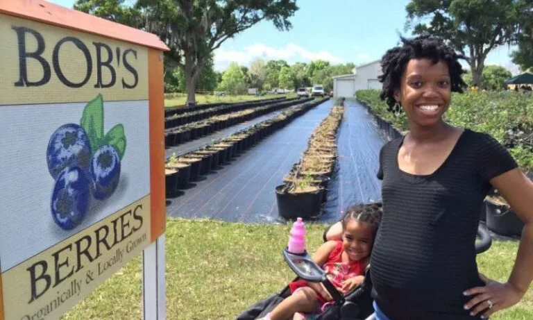 A mother and her child standing in front of a blueberry field for blueberry season at Bob's Berries