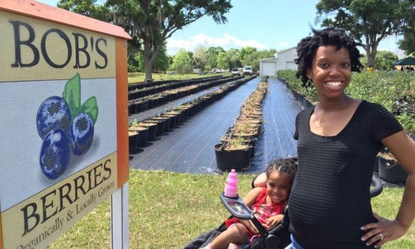 A mother and her child standing in front of a blueberry field for blueberry season at Bob's Berries