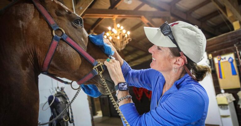 684c5062dad71.image  768x403