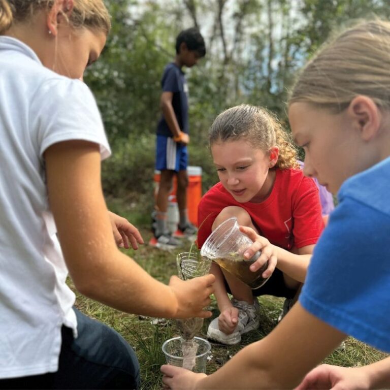 Academy at the lakes Wildcat Academy 768x768