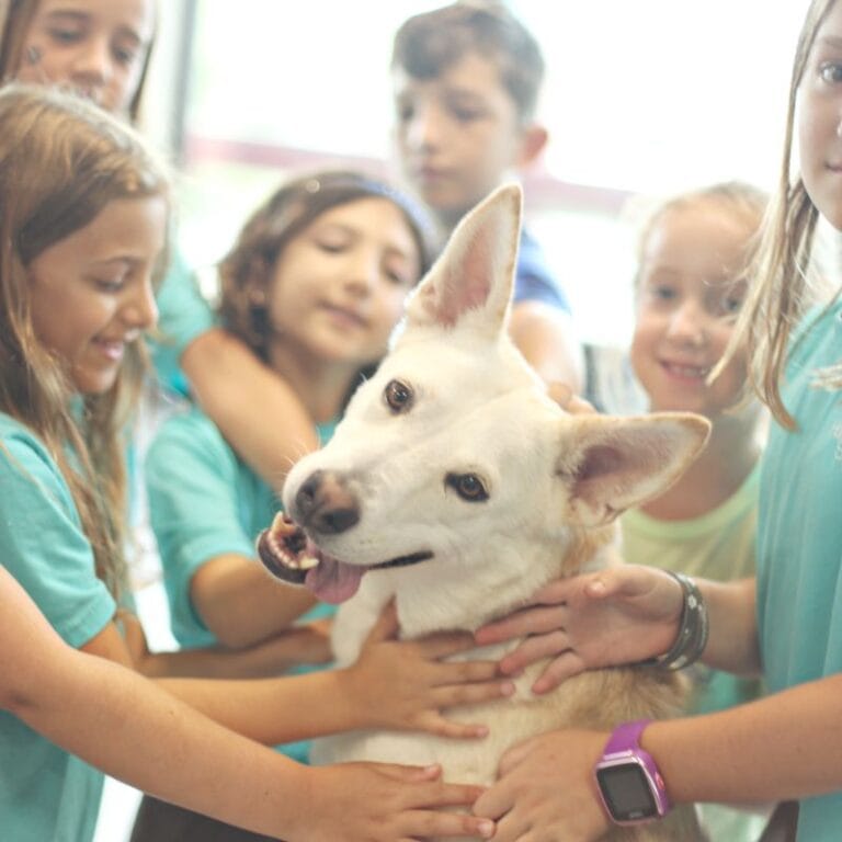 Critter Camp Photo SQ 1 768x768