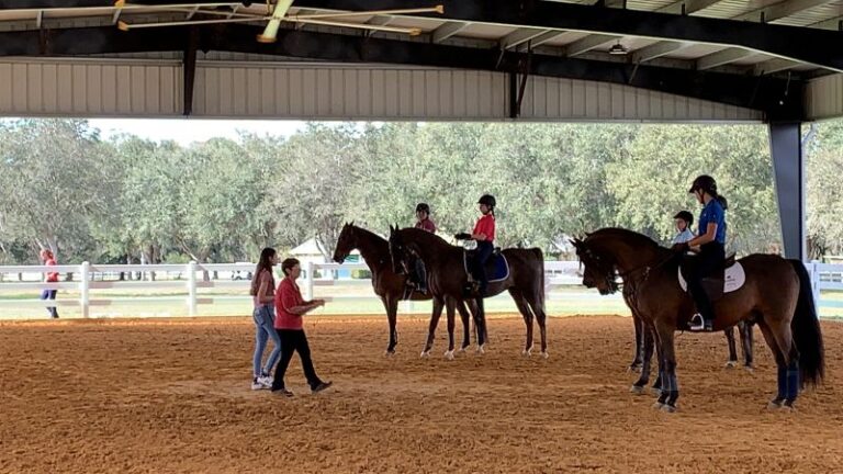 IMG 1159 resize 768x432