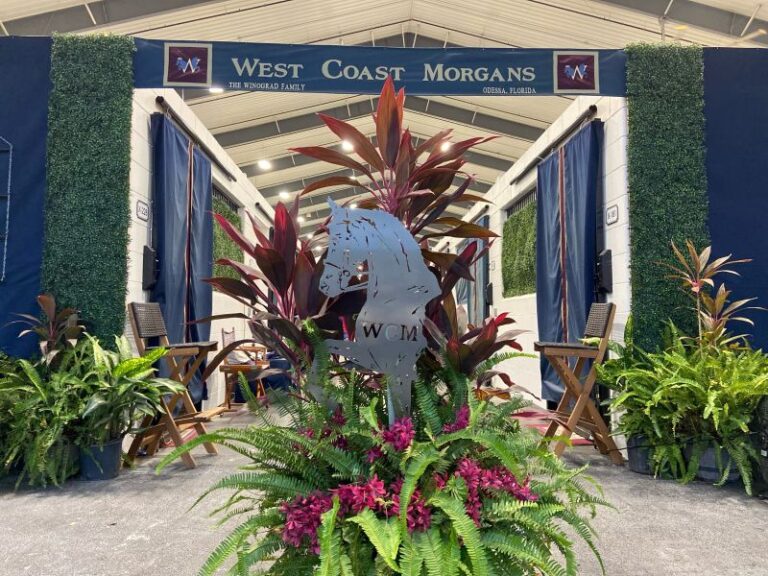 IMG 3418 resize 768x576