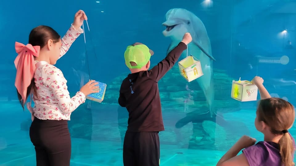 Spring break at Clearwater Marine Aquarium Kids with dolphins