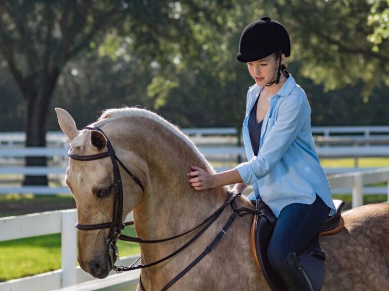 P5110909 resize 768x576