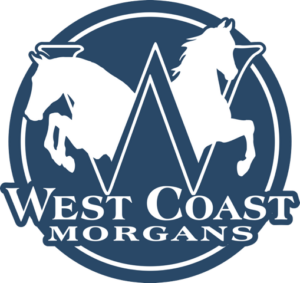 Transparent2 copy 1 300x283