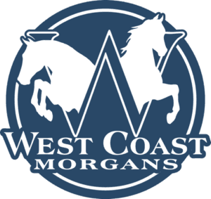 West Coast Morgan's Logo