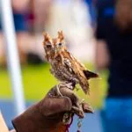 Wild Spring Break at Glazer Children's Museum