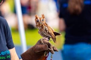 Wild Spring Break at Glazer Children's Museum
