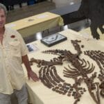 Dr. Bob Sinibaldi with the Armadillo fossil